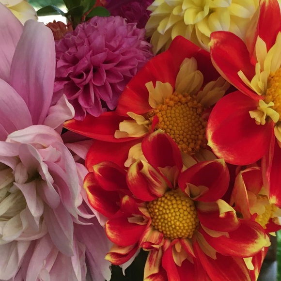 Meet your Posher, Emily - Picture 1 of 1